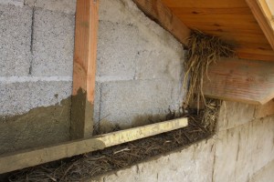Isolation extérieure en terre-paille banché (sur murs parpaings)